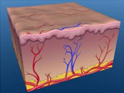 血紅蛋白轉化為高鐵血紅蛋白或凝結可使